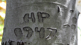 Horelli_A letter to mother(1)_2013-x.jpg